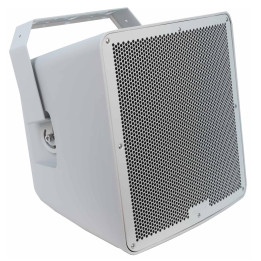 AQUA-12TG  Enceinte extérieure  300-150-75 Watts  100 V