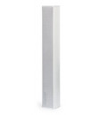 FCS-16 Colonne sonore 15-10-5 Watts 100 V