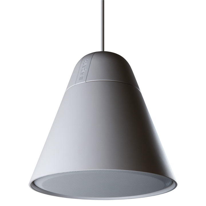 P60DT-W Enceinte suspendue  2 voies 60-30-15  Watts 100 V