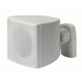 RS-4030T-BL Enceinte murale 20 - 10 Watts  100 V