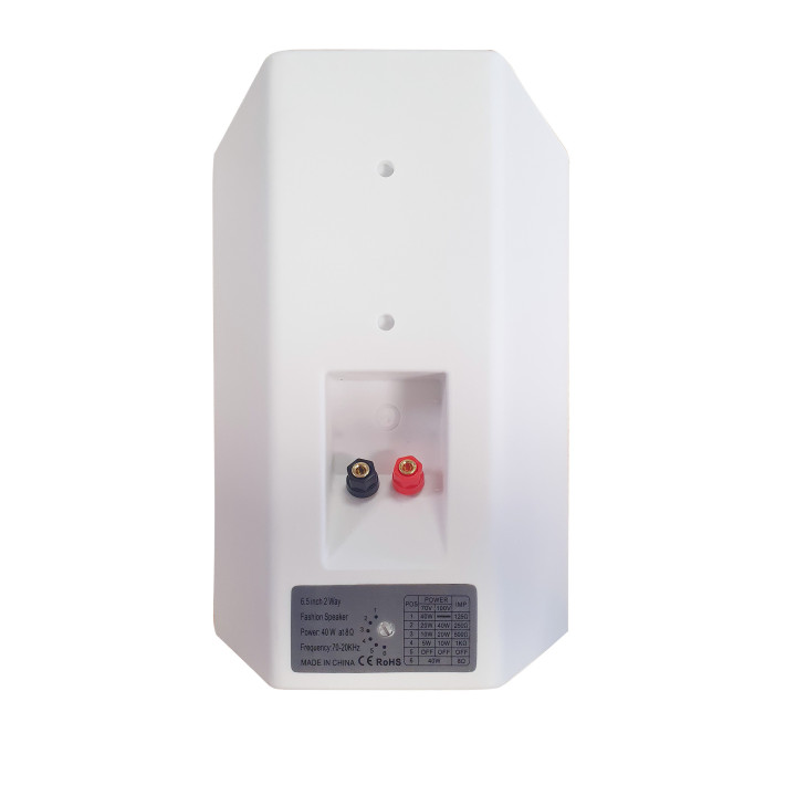 PBT 60 BL Enceinte murale 40 - 20 - 10 Watts  100 V