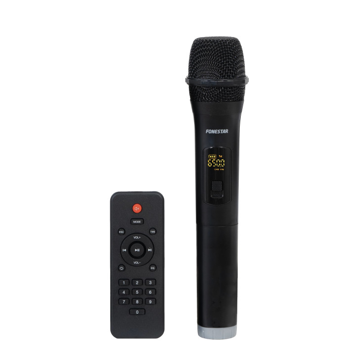 MALIBU-308 Enceinte portable amplifiée sur batterie