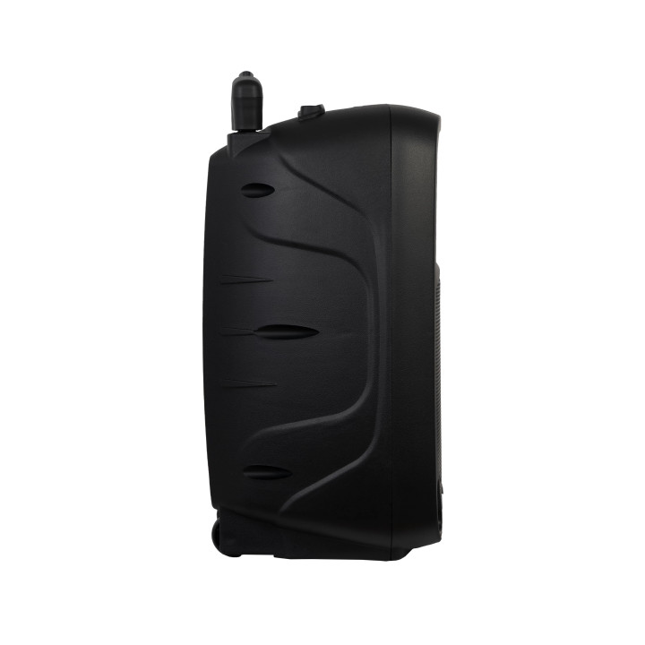 MALIBU-310 Enceinte portable amplifiée sur batterie