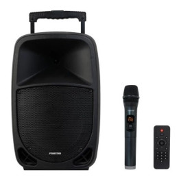 MALIBU-310 Enceinte portable amplifiée sur batterie