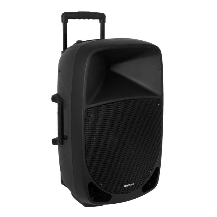 MALIBU-315 Enceinte portable amplifiée sur batterie
