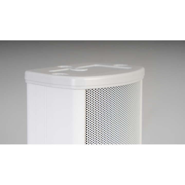 TOWER-40TB Colonne sonore 40-20 Watts 100 V