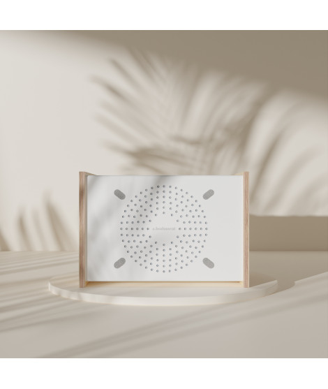 PRODIGE PRO Enceinte professionnelle avec technologie tshoko