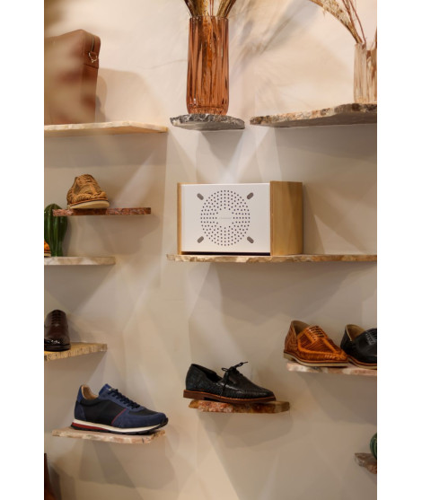 PRODIGE PRO Enceinte professionnelle avec technologie tshoko