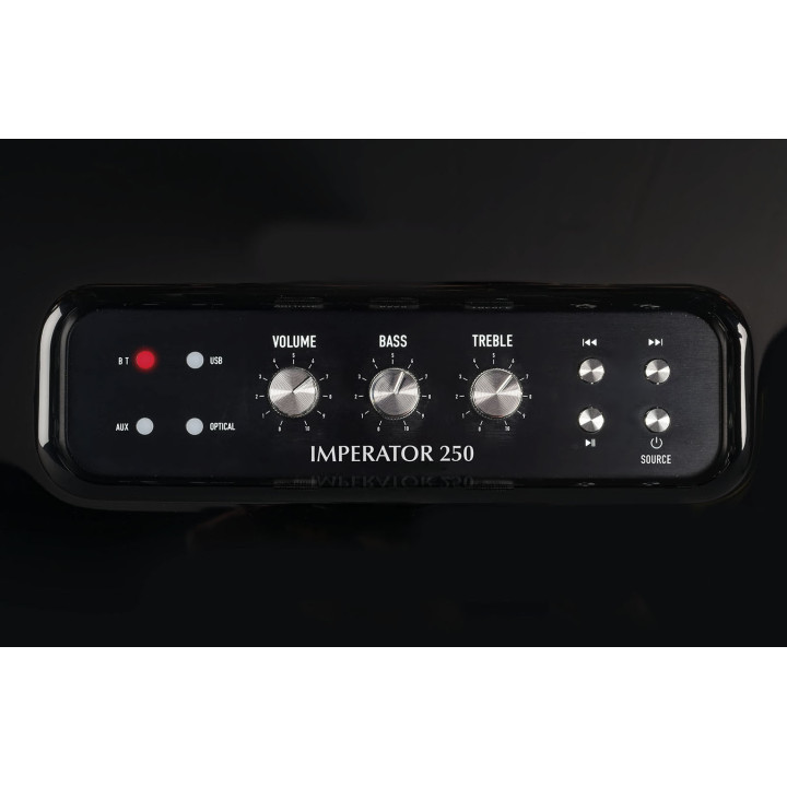 Imperator 250 Enceinte Bluetooth® 2 x 50 Watts noir  laqué