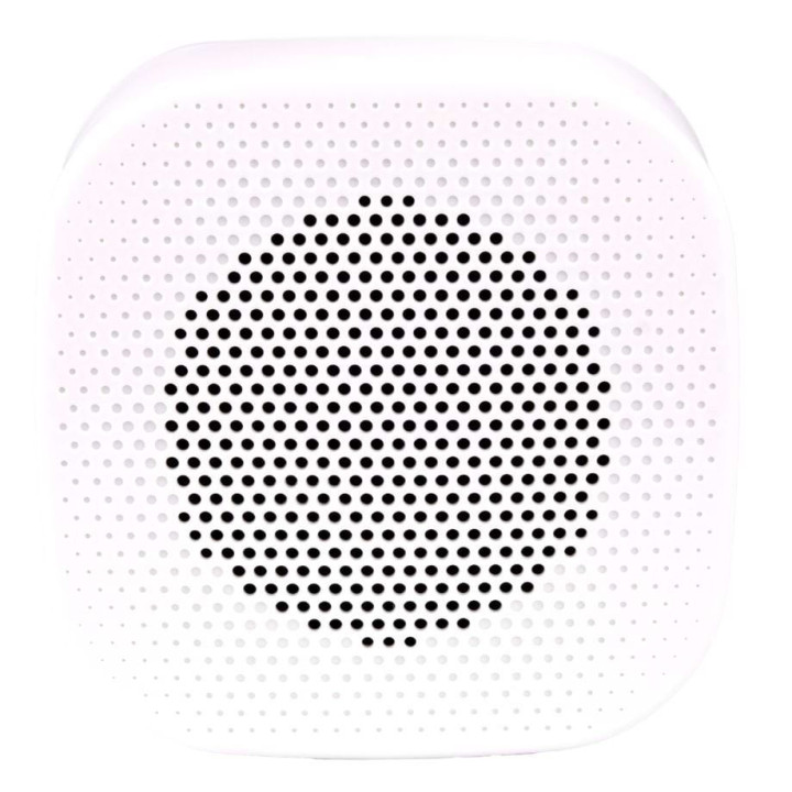 WS-63BL   Haut-parleur mural 6 - 3  Watts  100 V