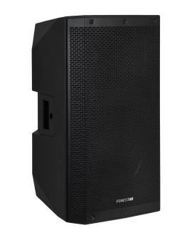 FORCE-X15 Enceinte passive 500 Watts 8 ohms