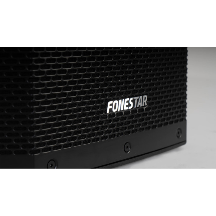 FORCE-X15 Enceinte passive 500 Watts 8 ohms