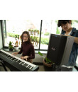 BUSKER Enceinte amplifiée 200 Watts sur batterie -Bluetooth- FX