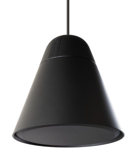 P30DT-BK Enceinte suspendue 2 voies 30-15 Watts 100 V