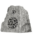 XT-POWERROCK-G Enceinte rocher extérieur 120 watts 100 V