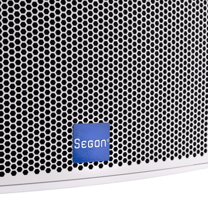 JS-FWT10B  Enceinte compacte  200-100  Watts  100 V