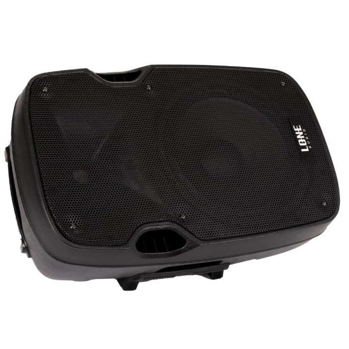 LA-10A  Enceinte amplifiee 160 Watts avec 2 Micros UHF