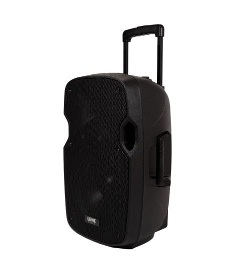 LA-12A Enceinte amplifiee 240 Watts avec 2 Micros UHF