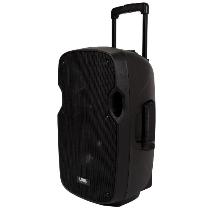 LA-12A  Enceinte amplifiee 240 Watts avec 2 Micros UHF