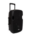 LA-12A Enceinte amplifiee 240 Watts avec 2 Micros UHF