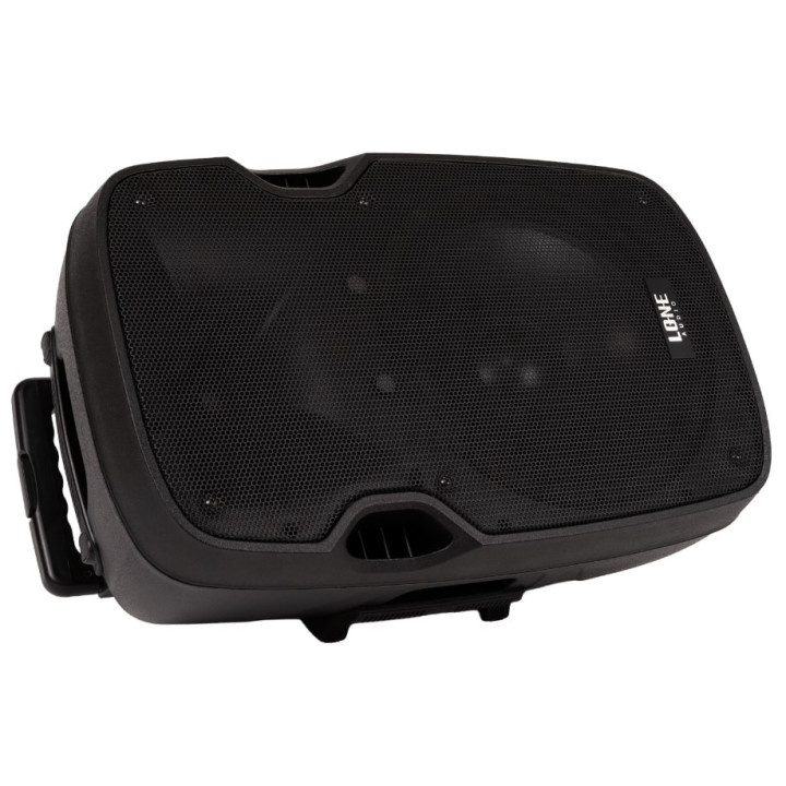 LA-12A  Enceinte amplifiee 240 Watts avec 2 Micros UHF