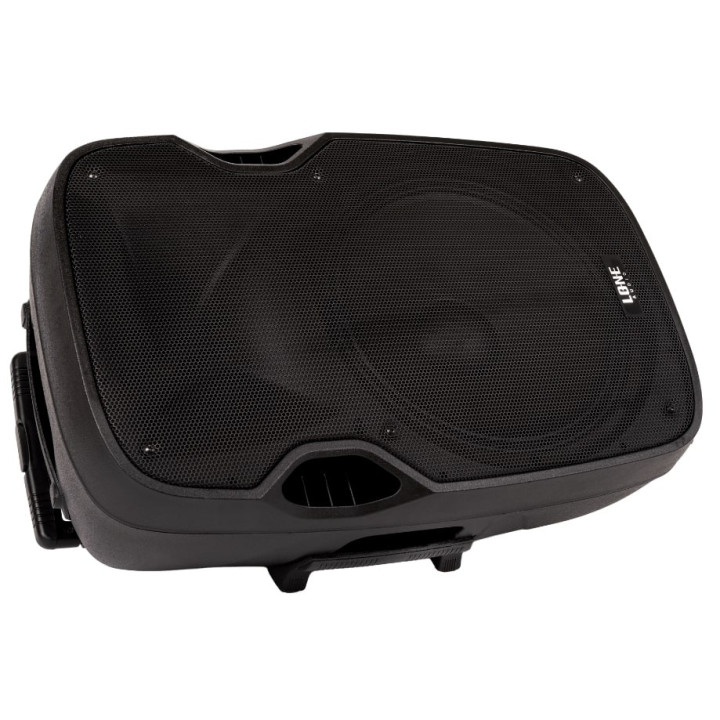 LA-15A  Enceinte amplifiee 480 Watts avec 2 Micros UHF