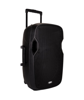 LA-15A Enceinte amplifiee 480 Watts avec 2 Micros UHF
