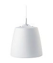 EVID-P6.2W Enceinte suspendue 30-15 W 100 V