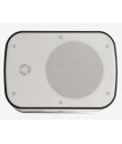 ONDE660W Enceinte murale 40-20-10 Watts 100 V
