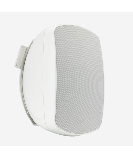 BORNEO660W Enceinte murale 20-15-10 Watts 100 V