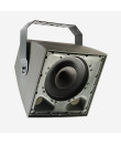 EXT415 Enceinte IP coaxiale 15" 300 Watts 100 V