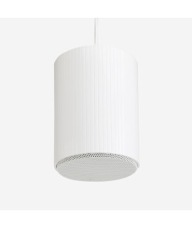 SHP510 Enceinte suspendue 10-5 Watts 100 V