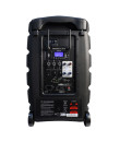 RACER250 Evo Enceinte portable amplifiée 250 Watts