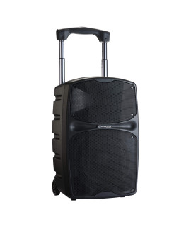 RACER120 Evo Enceinte portable amplifiée 120 Watts