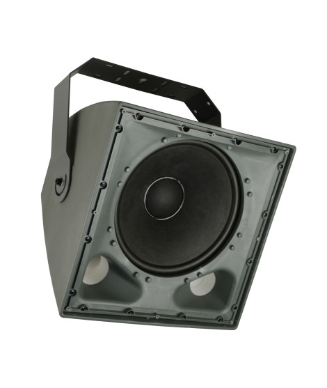 EXT415SW Caisson de basse IP 65 - 300 Watts 100 V