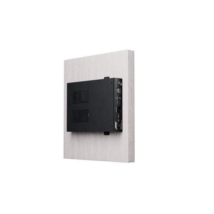 Veritas 1100BH Amplificateur BOSE Pro 100 watts 100 V