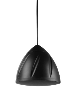 ED-5N Enceinte suspendue 30-15 Watts 100 V