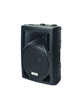 SPC 10AU Enceinte active 100 Watts
