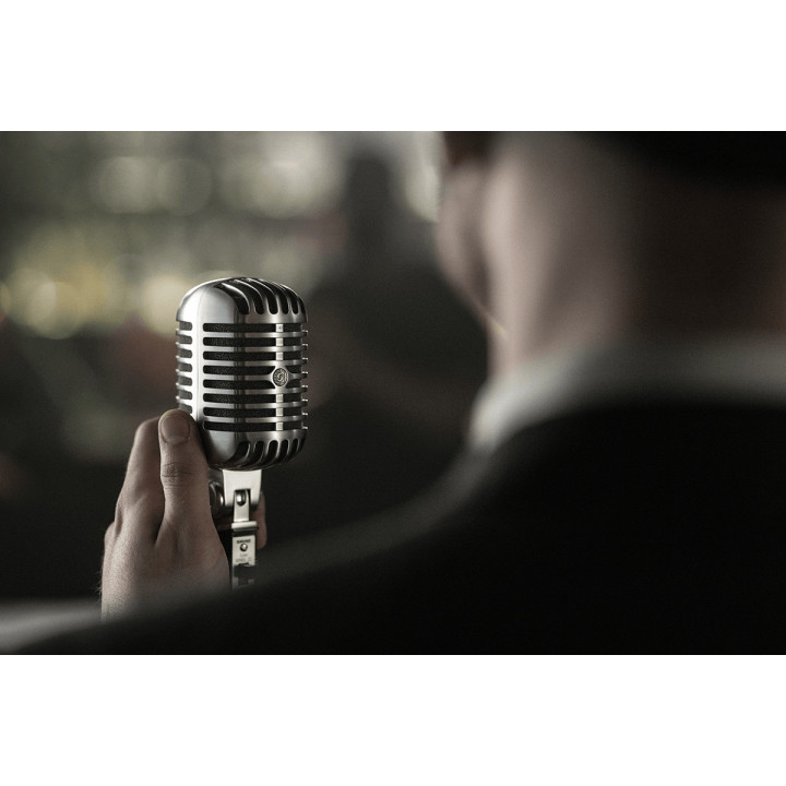 55SHT2   Microphone voix  tête de mort dynamique cardioide