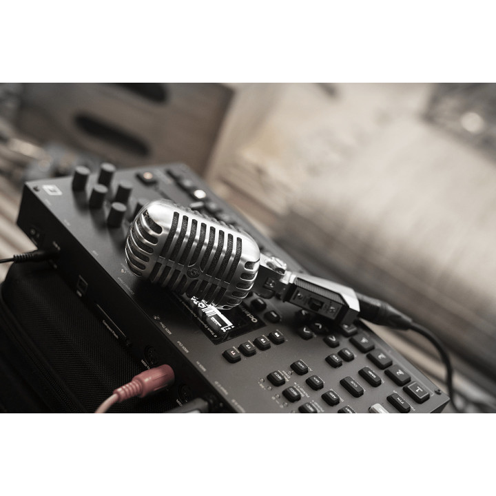 55SHT2   Microphone voix  tête de mort dynamique cardioide