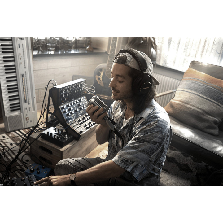 55SHT2   Microphone voix  tête de mort dynamique cardioide