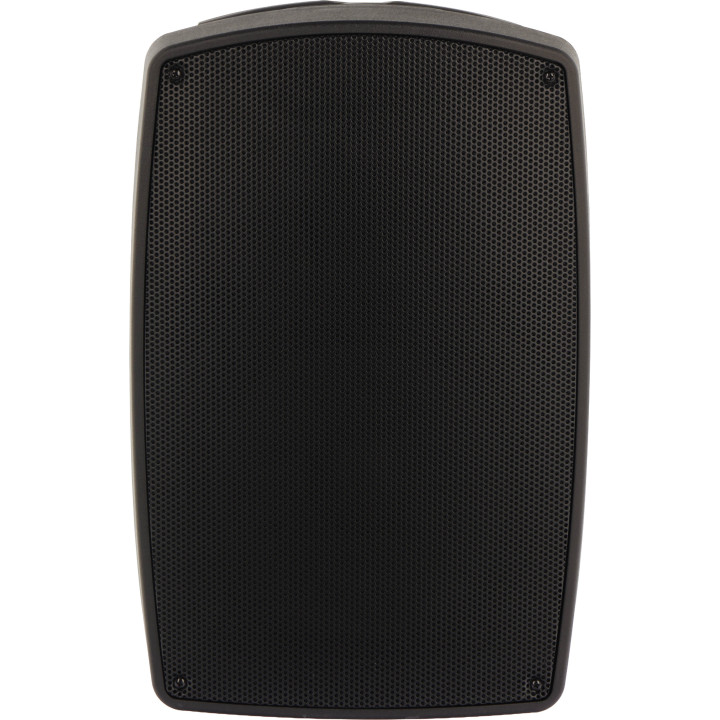 ALGAM AUDIO TR12-BT  Enceinte amplifiée 120 Watts avec 2 Micros UHF