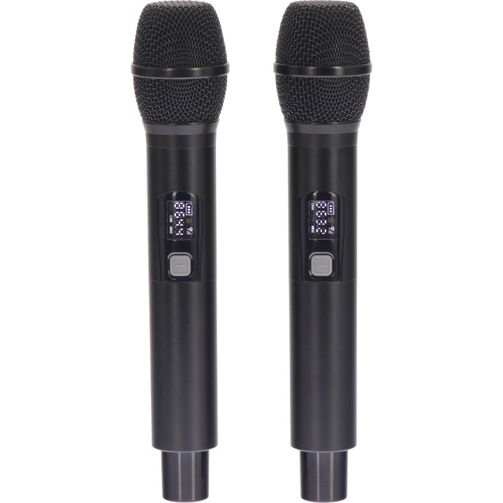 ALGAM AUDIO TR12-BT  Enceinte amplifiée 120 Watts avec 2 Micros UHF