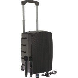 ALGAM AUDIO TR12-BT  Enceinte amplifiée 120 Watts avec 2 Micros UHF