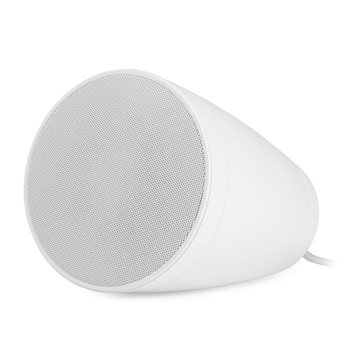 PURITY4W  Enceinte suspendue  20-10-5 Watts  100 V