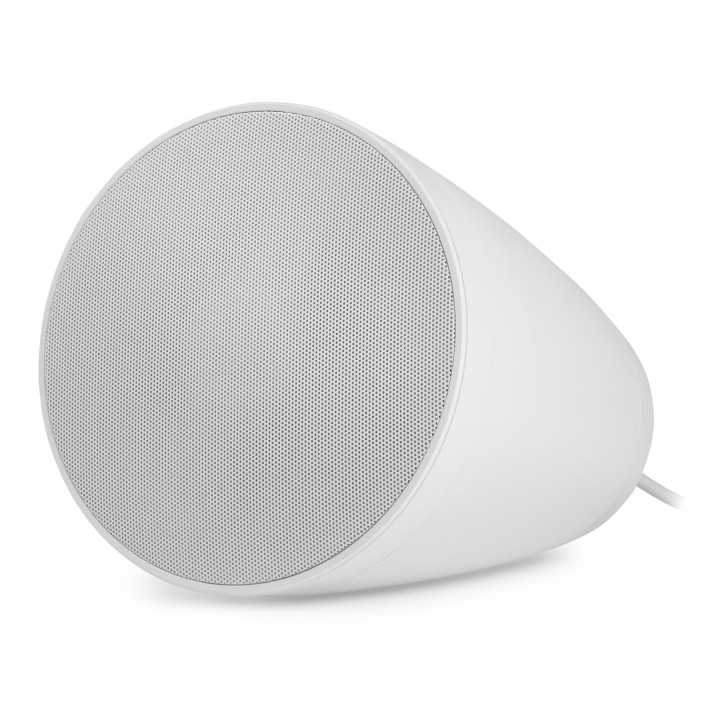 PURITY5W  Enceinte suspendue  30-15 Watts  100 V