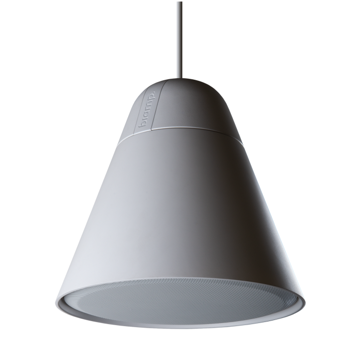 P60DT-W Enceinte suspendue 2 voies 60-30-15 Watts 100 V Biamp Desono